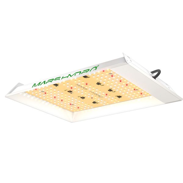 Amazon.com : MARS HYDRO TS1000 150W LED Grow Light for