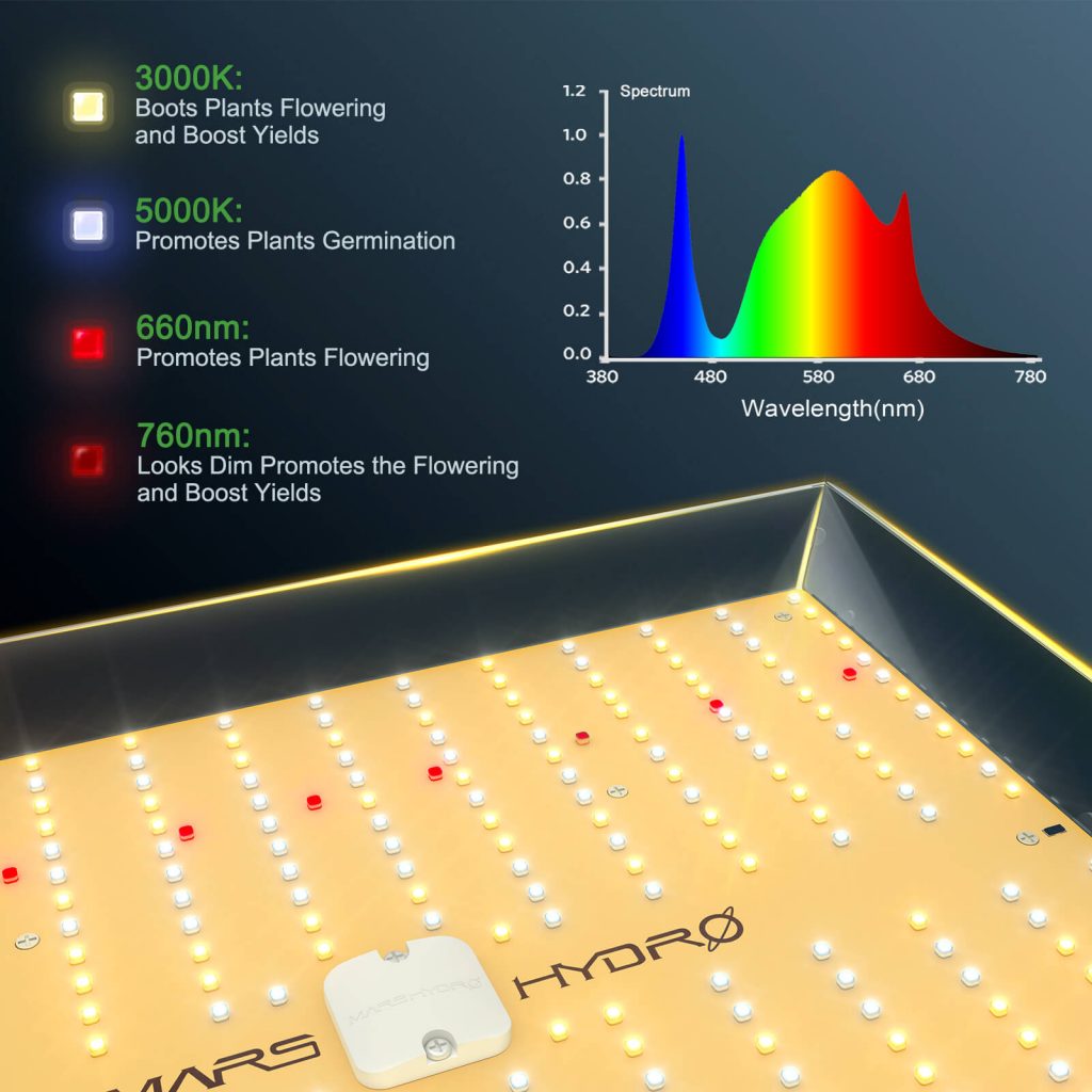 TS1000 LED-3
