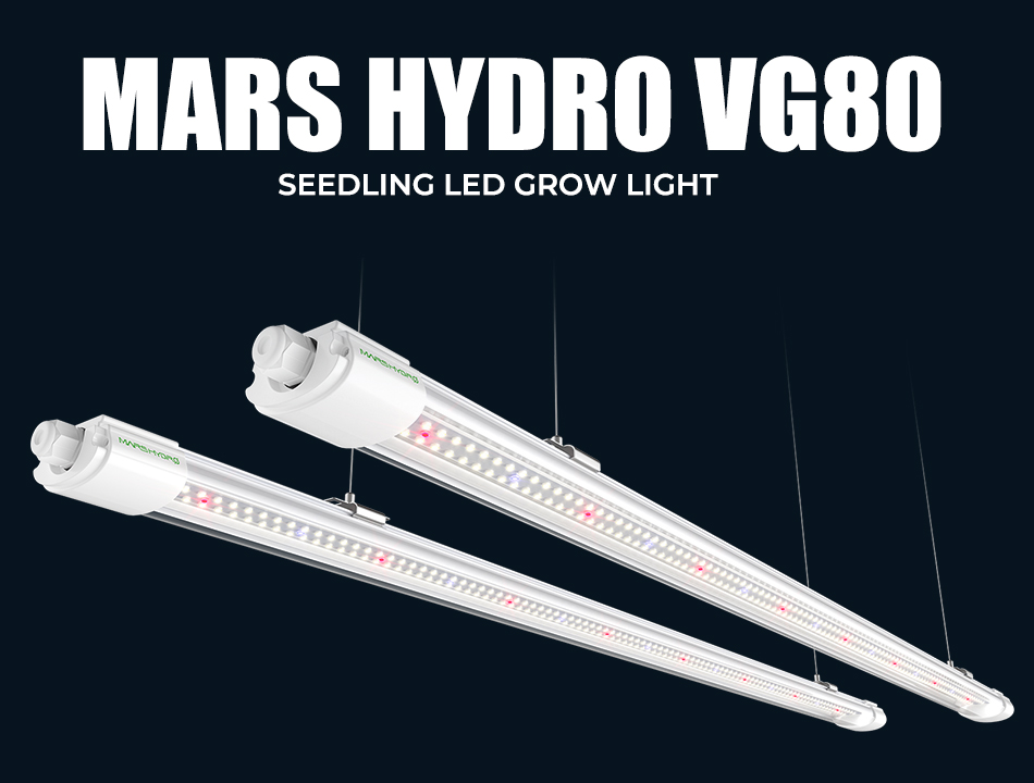 Mars Hydro VG80-The Best Grow Light for Seedling Veg Cloning