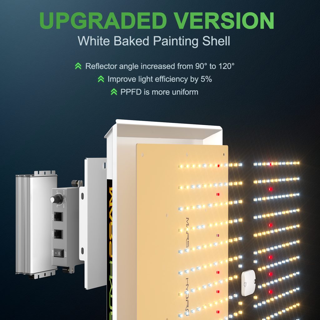 TS1000 LED-2