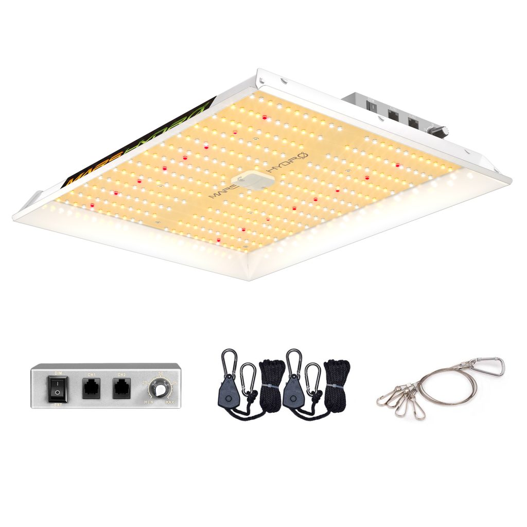 TS1000 LED